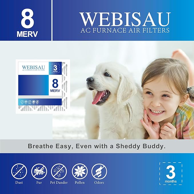 10x10x1 Air Filter MERV 8 MPR 600 6Pack Furnace Filters Pleated HVAC AC Furnace Air Filters,Air Conditioner Filters (Exact size: 9 3/4"x9 3/4"x3/4")