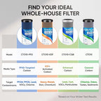 1 Micron 2.5" x 10" Whole House CTO Carbon Water Filter Cartridge Replacement for Under Sink Water Filter System, Dupont WFPFC8002, WFPFC9001, FXWTC, SCWH-5, WHEF-WHWC, WHCF-WHWC, AMZN-SCWH-5,2Pack