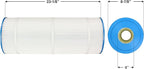 Pureline Pool Replacement Cartridge Filter, 100 Sq Ft, PL0126, Compatible with Jandy CS100