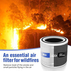 Core 300 Replacement Filter [Pet Care] Compatible with LEVOIT Core 300/Core 300S/Core-P350, 3-in-1 True HEPA Filter, High-Efficiency Activated Carbon, Part# Core 300-RF-PA, Yellow, 2 Pack