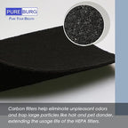 PUREBURG 990051000 Replacement True HEPA Filter Set Compatible with Hamilton Beach TrueAir 04383 04384 04385 04386 Compact Pet Air Purifier,H13 Activated Carbon,2-Pack