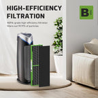 FLT4825VO Toxin Clear HEPA Replacement Compatible with AC4825 AC4300 AC4800 AC4900 AC4850, 4 True HEPA Filters & 12 Activated Carbon Pre-Filters, FLT4825VO, Black/Green