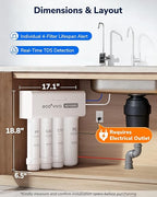 Ecoviva 1000GPD UnderSink Reverse Osmosis System, German Design, NSF/ANSI 58 61 372 Tankless 9-Stage 3:1 Pure to Drain, 10 Years Robust Alkaline RO Water Filtration, Fully Sealed