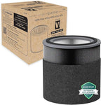 GermGuardian Filter V Smoke Clear HEPA Genuine Air Purifier Replacement Filter, Removes 99.97% of Pollutants, Wildfire Smoke, Toxins and Odors, for AC3000, AC3050, AP3151, AC151, Black/Gray, FLT151SM