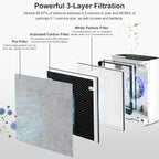 Vital 100 Replacement Filter Compatible with Levoit Vital 100 Air Purifier, 3-in-1 and High-Efficiency Activated Carbon Filters, Part Number Vital 100-RF, 2 Pack