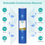 SimPure Whole House Water Filter Cartridges 20" x 4.5" GAC/KDF Carbon and Heavy Metal Filter, For DB20P, WHB20, FG25B-KS, WGB32B-KS, ‎FLTWH2045K, 2 Pack