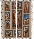 2 Panel Kitchen Cafe Curtains, Desert Camels Sunlight Filtering Nature Air Through, Home Decor Window Covering Tier Curtains for Living Room 104W x 90L inch Western Wildlife Brown Animals Country