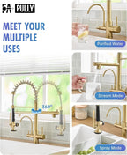 Fapully Commercial 3 Way Kitchen Faucets with Pull Down Sprayer and Water Filler,3 in 1 Kitchen Sink Faucet with Drinking Water Faucet Brushed Gold