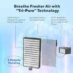 Clarifion - DSTx 2.0 Portable Air Purifier (3 Pack) - Plug In Air Ionizer HEPA Air Filter, Mini Personal Air Purifiers For, Bedroom and Pets Helps With Dust, Smoke, Airborne Dust and Odors