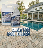 Ultimate Spa Filter Cleaner Fast-Acting Spray. Instant clean for Hot Tub & Pool Filters leaving behind no sticky residue. Prolongs filter life and pool equipment. No soaking. (1-Gallon)