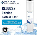 Pentair Pentek RFC-20BB Big Blue Carbon Water Filter, Whole House Heavy Duty Radial Flow Carbon Replacement Cartridge with Granular Carbon (GAC) Filter, 20" x 4.5", 25 Micron, Pack of 6, White