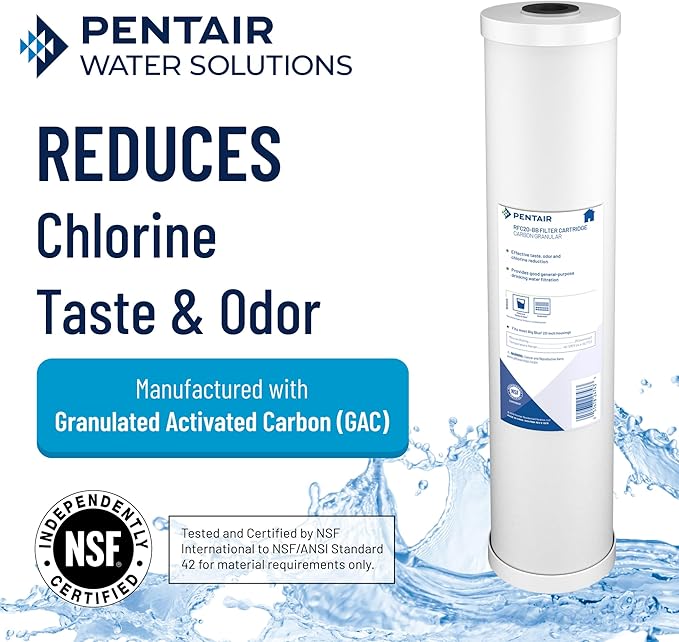 Pentair Pentek RFC-BB Big Blue Carbon Water Filter, 10-Inch, Whole House Heavy Duty Radial Flow Carbon Replacement Cartridge with Granular Activated Carbon (GAC) Filter, 10" x 4.5", 25 Micron