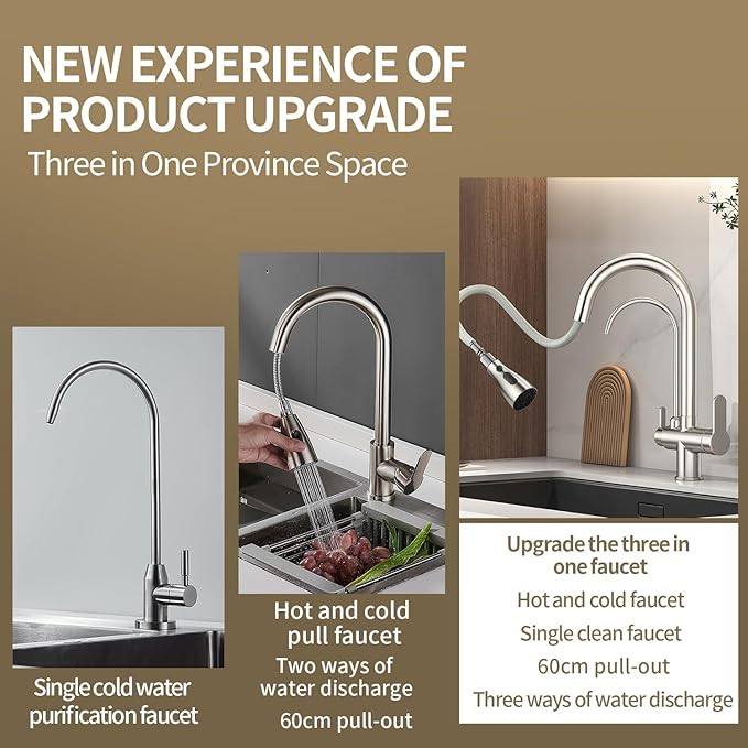 Kitchen Sink Faucet with Pull - Down Sprayer, 2 - Handle 3 - in - 1 Kitchen Sink Filter Faucet, Cold and Hot Mixer Drinking Water Faucet (3-in-1 Filter Faucet, Brushed Nickel)