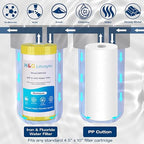 H&G Lifestyles Whole House Water Filter System,2 Stage Home Water Filtration with Carbon Sediment Filters, Remove Chlorine Odor Heavy Metal Lead Sediment for Drinking Water,4.5" x10“ Cartridge