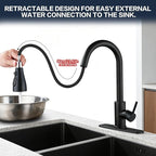 Kitchen Sink Faucet with Pull - Down Sprayer, 2 - Handle 3 - in - 1 Kitchen Sink Filter Faucet, Cold and Hot Mixer Drinking Water Faucet (Classic, Black-2)