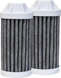 Epic Everywhere Bottle Filter Complete | 1-Pack | 75 Gallon Total Filter Life | 3-4 month Supply | Compatible with all Epic Water Bottles | Replaces Everyday and Outdoor (Cartridge Double)