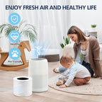 Core Mini Replacement Filter Compatible with LEVOIT Core Mini Air Purifier,Core Mini-P, Replace Part #Core Mini-RF, 4 Filter & 10 Fragrance Sponge