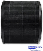 PUREBURG Replacement Filter Compatible with AirExpect & AirExtend Air Purifiers JL-AP-TB01,2-Pack H13 HEPA 3-Stage Filtration Activated Carbon 2-in-1