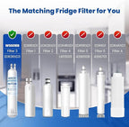 Waterspecialist EDR3RXD1 Water Filter, Replacement for 4396841, Everydrop® Filter 3, 4396710, Kenmore® 46-9083, 46-9030, WS608 Refrigerator Water Filter, 2 Filters