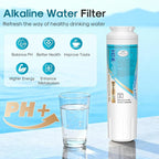 ICEPURE Alkaline UKF8001 Refrigerator Water Filter Replacement for Whirlpool EDR4RXD1, EveryDrop Filter 4, Maytag UKF8001, 4396395, UKF8001P, UKF8001AXX, RFC0900A, UKF8001AXX-200, Enhances PH, 5 Pack
