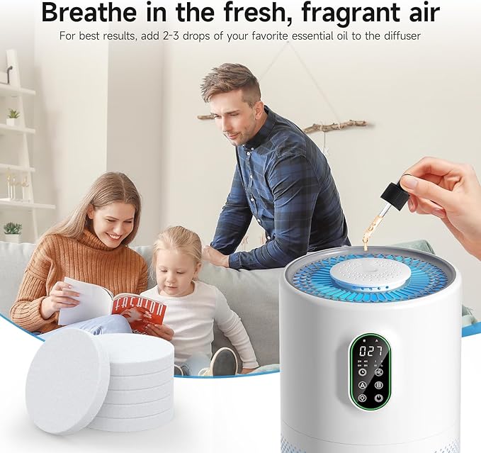 AP02 Replacement Filter Compatible with WESTHEY AP02 Air Purifier, 3-in-1 H13 True HEPA Filter with Activated Carbon, 4 Pack