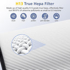 360° Combi Glass H13 Hepa + Activated Carbon Filter Compatible with Dyson HP1 PC1 HP10 TP07 TP10 TP06 HP06 TP04 HP04 PH01 PH02 PH03 PH04 HP09 TP09 HP07 Air Purifier, 2-in-1 Replacement Filters, 2 Pack