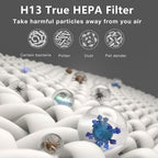 2 Pack PR1 Replacement Filter, Compatible with MOOKA PR1 Air Purifier, H13 True HEPA Filter for Home Large Room, Removes Pollen Dander Smoke Pet Hair Dust (includes 6pcs Washable Pre Filter)