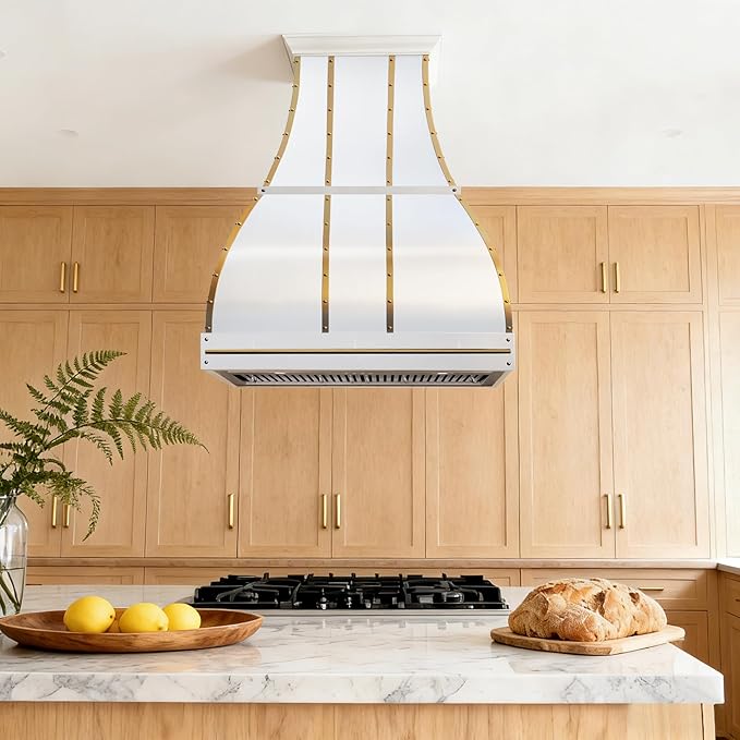 CHETTO C Stainless Steel Range Hood Cover with 4-Speed Vent Hood Insert Custom Handcrafted Metal Kitchen Fan with Towel Rack LED Light 30"W x27"D x33"H White Island Mount