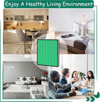 Airmega 250/250S Filter Replacement, Compatible with Coway Airmega 250S and Coway Airmega 250 Air Purifier, Max 2 Green True HEPA and Active Carbon Filter, 2 Pack