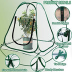 Plant Mini Greenhouse Pop Up Transparent Greenhouse Freeze Protection PVC Plant Cover with Roll-up Zipper Entry Doors for Indoor and Outdoor Gardens Protecting Plant from Cold Frost(PVC, 28x28x32in)