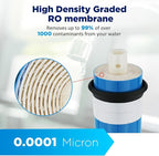 Membrane Solutions 100 GPD RO Membrane, Reverse Osmosis Membrane, RO Membrane Replacement, Reverse Osmosis Filter Replacement for Under Sink Home Drinking RO Water Purifier System (2 PACK)