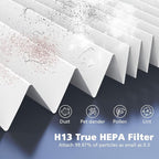 2-Pack Core Mini Filter Compatible with LEVOIT Core Mini Air Purifie-r, 3-in-1 H13 HEPA High-Efficiency Activated Carbon Pre-filter for LEVOIT Core Mini Replacement Filter