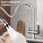 Kitchen Sink Faucet with Pull - Down Sprayer, 2 - Handle 3 - in - 1 Kitchen Sink Filter Faucet, Cold and Hot Mixer Drinking Water Faucet (3-in-1 Filter Faucet, Chrome)