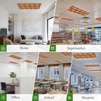 Tropical Plant Cactus Fluorescent Light Covers 4 Pack Western Cowboy Horse Sunset Deserts Brown Magnetic Fluorescent Ceiling Lights Filters for Office Classroom Home Drop Ceiling 4x2 Feet