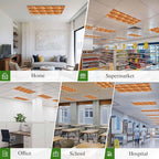 Tropical Plant Cactus Fluorescent Light Covers 4 Pack Western Cowboy Horse Sunset Deserts Orange Magnetic Fluorescent Ceiling Lights Filters for Office Classroom Home Drop Ceiling 4x2 Feet