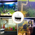 XINYOU Corner Filter Air Driven Bio-Sponge Ceramic for Fry Shrimp Fish Tank Aquarium XY-2010, 2.75 x 3.15 x 11 inches