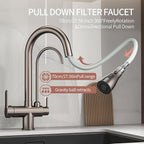 Kitchen Sink Faucet with Pull - Down Sprayer, 2 - Handle 3 - in - 1 Kitchen Sink Filter Faucet, Cold and Hot Mixer Drinking Water Faucet (3-in-1 Filter Faucet, Grey)