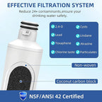 LT1000PC Water Filter For LG LT1000P, LT1000P/PC/PCS, ADQ747935, Compatible with LG Refrigerator Water Filter Replacement LMXS28626S LFXS26973S LFXS28596S LRFWS2906S MDJ64844601, 4 Packs