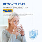 PUREPLUS LT800P NSF/ANSI 401, 53, 42 & NSF P473 Certified Certified Replacement for LG ADQ73613401, Kenmore 469490, 9490, ADQ73613402, ADQ736134, LSXS26326S LMXC23746S, LT120F, 1Pack