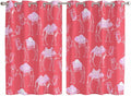 2 Panel Kitchen Cafe Curtains, Desert Camel Sunlight Filtering Nature Air Through, Home Decor Window Covering Tier Curtains for Living Room 104W x 72L inch Summer Sand Camel Animal Vintage Pink