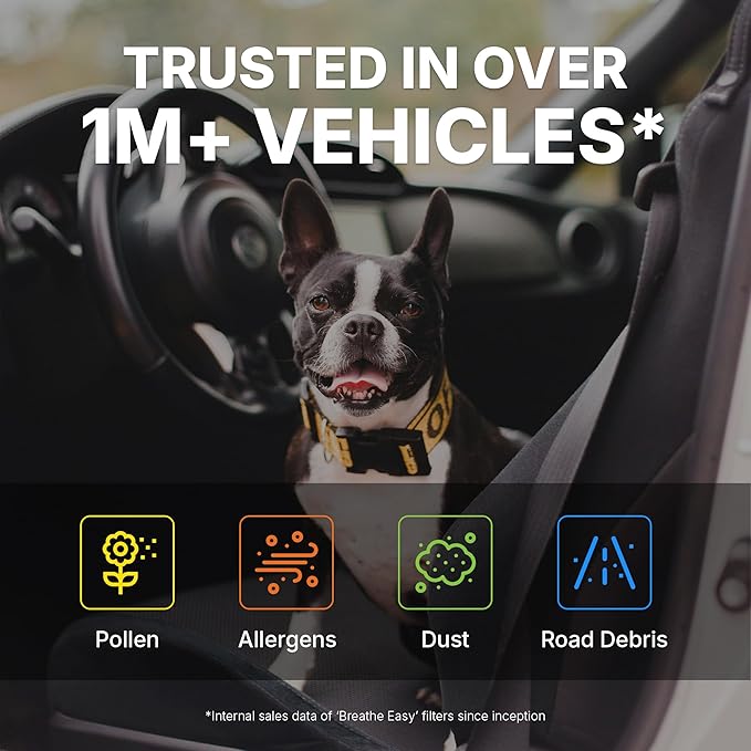 Spearhead OEM+ Particulate Breathe Easy Cabin Filter | Fits Various 2013-23 Ford/Lincoln Like OEM | Provides Max Airflow & Enhanced Performance (BE-775P)