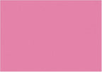 uxcell 4Pcs A4 Gel Light Lighting Filter Overlay Transparent Color Correction Plastic Vinyl PVC Sheets Photography Television Matte Red,0.5mm