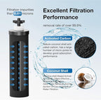 Black Purification Elements,Replacement Filters for ProOne® and Berkey® Filters,ProOne® Big+ or Berkey® Big Countertop Gravity Water Filter System(4 Pack)