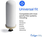 Culligan MaxClear 7” Gravity Water Filter Replacement Compatible with ProOne & Berkey Water Filter Systems, Ceramic & Carbon Filter NSF/ANSI Certified, Reduce Total PFAS, Microplastics & Lead, 4-Pack