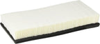 BOSCH 5046WS Workshop Engine Air Filter - Compatible with Select Chrysler, Dodge, Ford, Mercury, Plymouth, Volkswagen