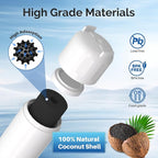 ICEPURE 4874960100 Refrigerator Water Filter Replacement for Blomberg Beko 4874960100 Water Filter, NSF/ANSI 42 certification, Reduces Chlorine Taste & Odor, 1 PACK