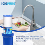ICEPURE 5 Micron 20" x 4.5" Whole House Sediment and Carbon Water Filter Replacement Cartridge for AP810-2, SP-DD-5005-20BB, DGD-5005-20, FPMB5-20, P5-20BB, FP25B, SDG-45-2005, CMMF0520-45W1, 2PACK