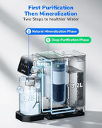 Ecoviva MATE5 Countertop Reverse Osmosis Water Filter, 8-Stage RO Water Filter Purifier, Meet NSF/ANSI 58 Standard, Installation-Free, Portable Water Dispenser for Home & Kitchen & RV, Green Tag