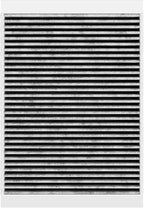 Spearhead Odor Defense Breathe Easy AC & Heater Cabin Filter | Fits 2015-25 Mustang Like OEM | Up to 25% Longer Lasting w/Activated Carbon (BE-152)