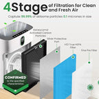 2 Pack HY4866 True HEPA Replacement Filter Compatible with MORENTO, WESTHEY HY4866, YIOU M1 - Air Purifier Filters, 4 Stage Filtration, 2in1 Carbon & Silver Technology - Blue